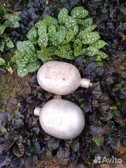 Фляжка армейская СССР