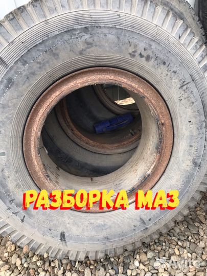 Диски маз камерные