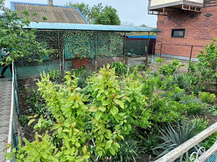 Дом 80 м² на участке 14 сот.