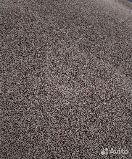 Пшеница озимая, Гречиха на корм