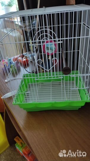 Клетка для попугая бу