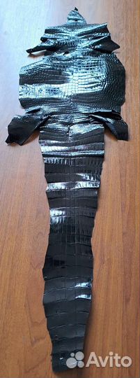 Шкура Крокодила