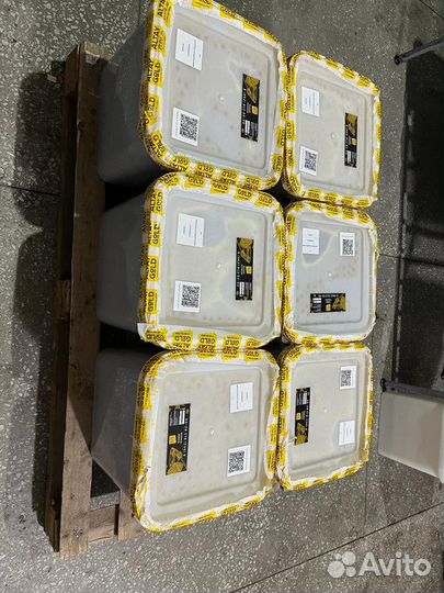 Свежий таежный мед оптом