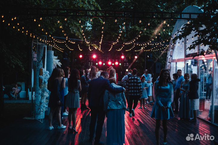 Ведущий + dj на свадьбу / корпоратив / юбилей