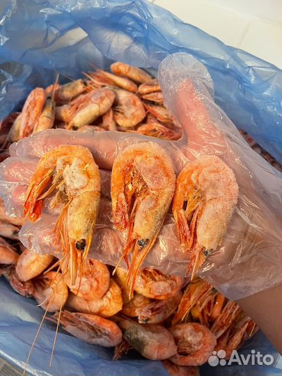 Креветка (Магадан)