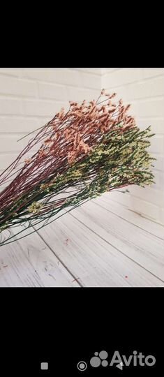 Лимониум стабилизированный