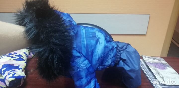 Комбинезон зимний для собак