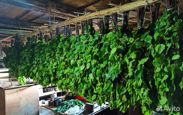 Березовые веники