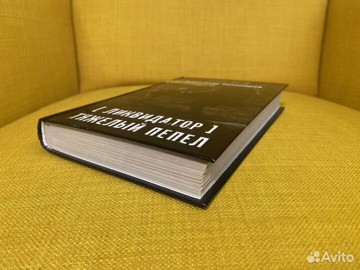 Тяжелый пепел - Александр Пономарев. Сталкер