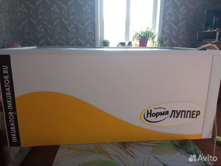 Инкубатор Норма Луппер на 72 яйца