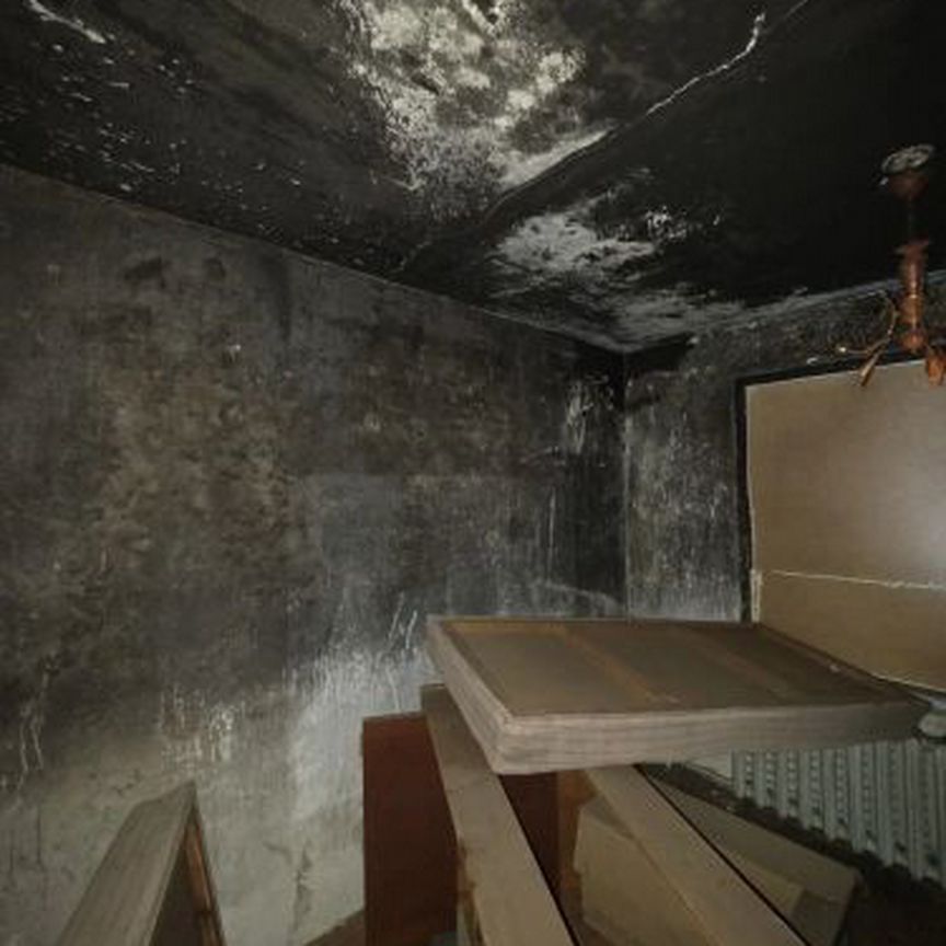 Квартира 3-комн. 66 м² в Райчихинск — фото 6 из 6