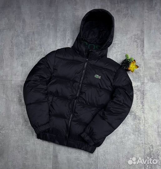 Зимние куртки Lacoste Lux