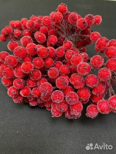 Ягоды в Сахаре декоративные