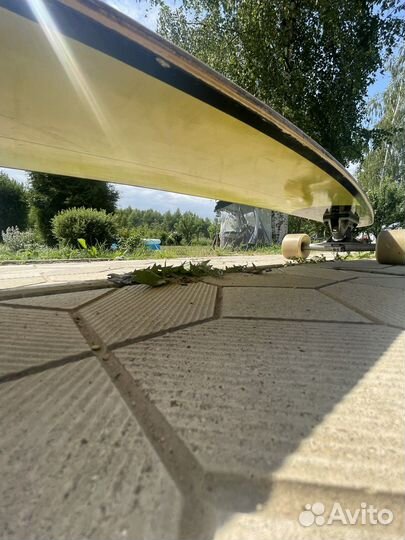 Лонгборд pintail 520