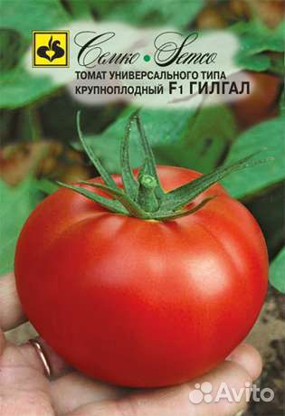 Рассада цветов овощей