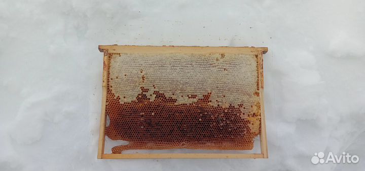 Рамки медовые, сушь