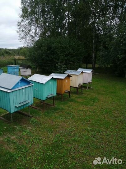 Улей для пчел