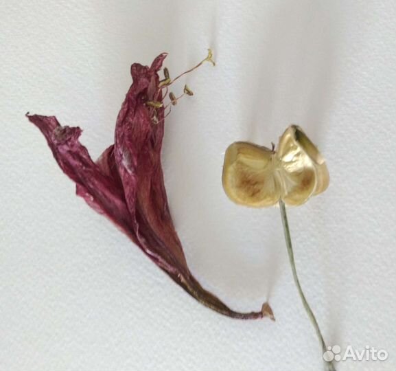 Набор для творчества из эпоксидной смолы