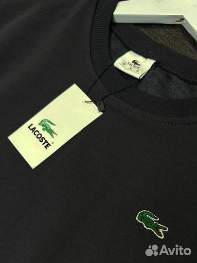 Свитшот lacoste мужской