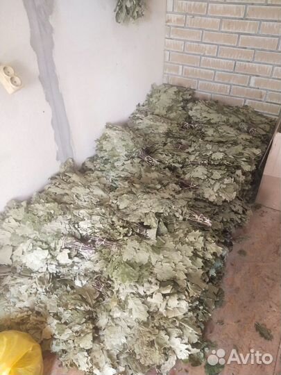 Веники канадский дуб