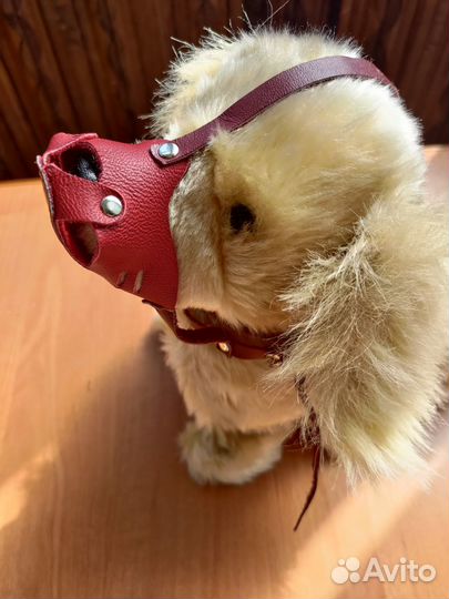 Намордник для маленькой собаки