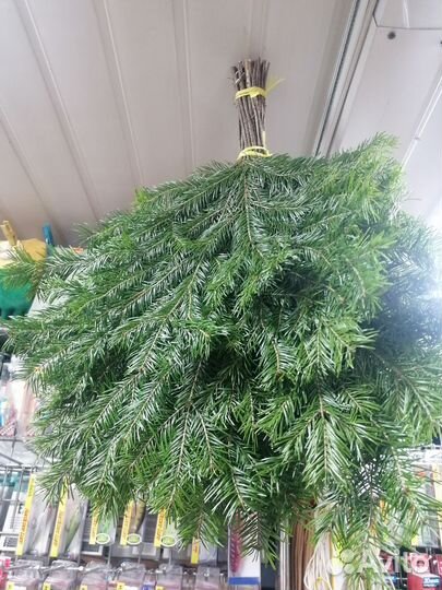 Веник пихта Марий Эл и другие