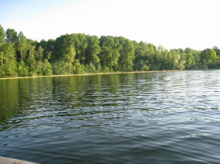 Участок 58 сот. (ИЖС)