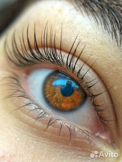 Ламинирование ресниц