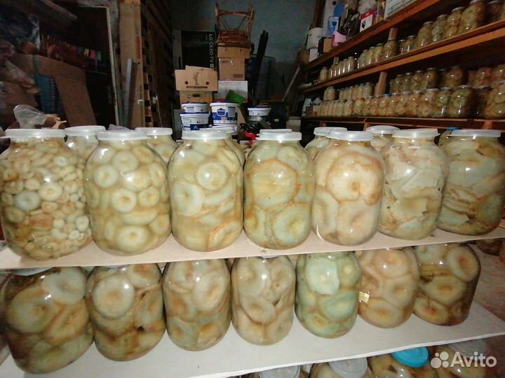 Грибы грузди соленые