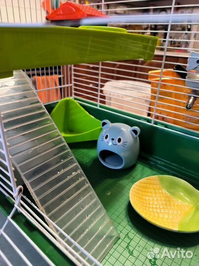 Клетка для грызунов бу