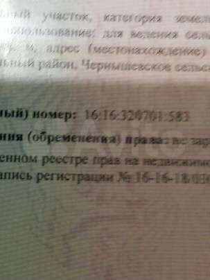 Участок 5 га (СНТ, ДНП)