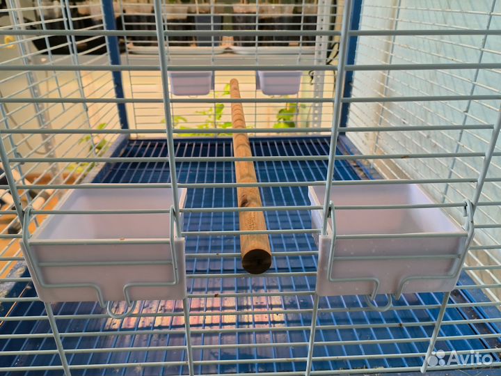 Клетка вольер для средних и крупных птиц, попугаев