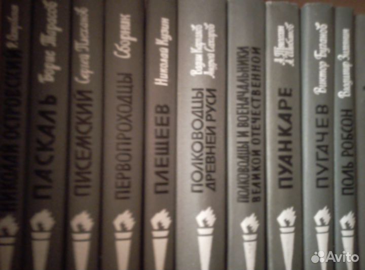 Жизнь замечательных людей (жзл) Книги