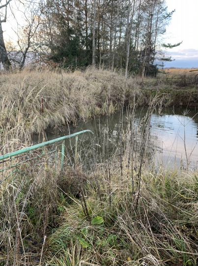 Дом 50 м² на участке 30 сот.