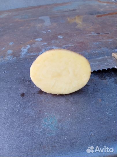 Продам картофель едовой