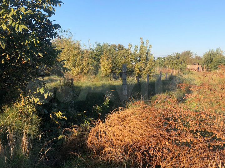 Участок 25 сот. (ИЖС)