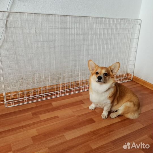 Вольер для собак и щенков