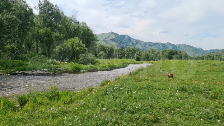 Участок 12 сот. (СНТ, ДНП)