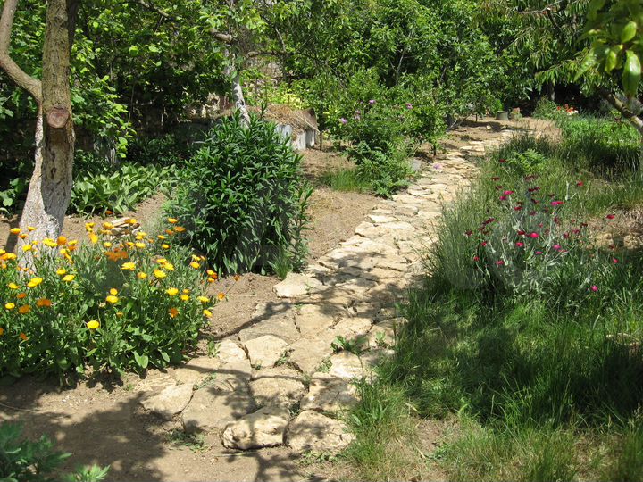 Участок 12 сот. (СНТ, ДНП)