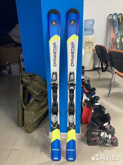 Горные лыжи