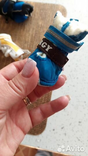 Обувь для маленьких собак