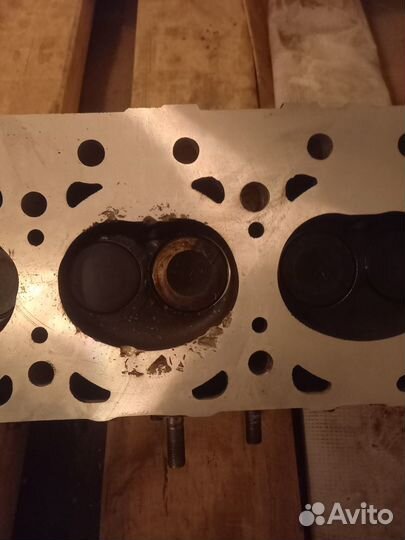Головка блока Газель некст Эвотек 3.0 Чугун А 305