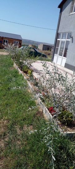 Дом 100 м² на участке 8 сот.