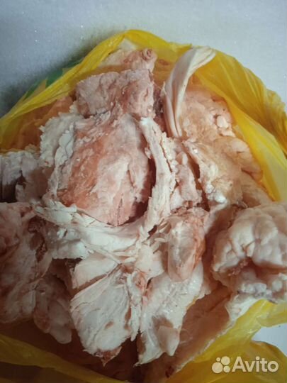 Корм для собак