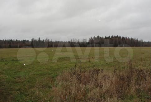 Участок 4,1 га (ИЖС)