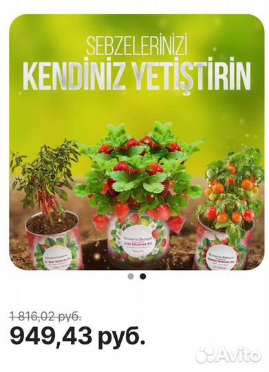 Набор для выращивания зелени дома