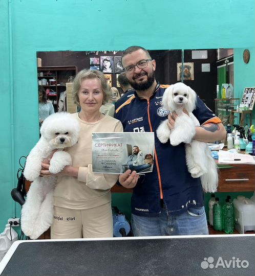 Услуги грумера