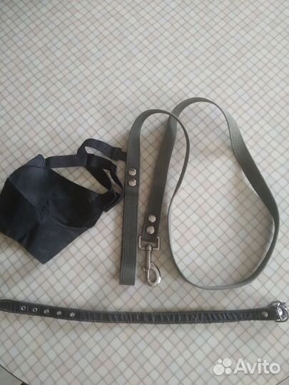 Для собаки: поводок, ошейник, намордник