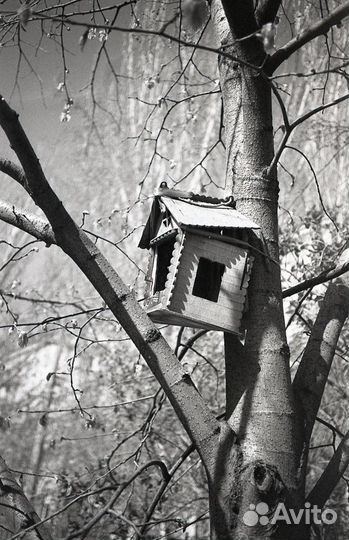 Фотопленка ч/б 35мм Тасма кн-3