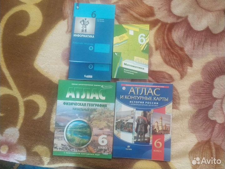 Рабочие тетради 6 класс